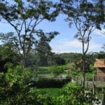 <a class="amazingslider-posttitle-link" href="http://fsgm-indonesia.org/2017/02/05/bertumbuh-dalam-cinta/" target="_blank">BERTUMBUH DALAM CINTA</a> <a class="amazingslider-posttitle-link" href="http://fsgm-indonesia.org/2017/02/05/bertumbuh-dalam-cinta/" target="_blank">BERTUMBUH DALAM CINTA</a>